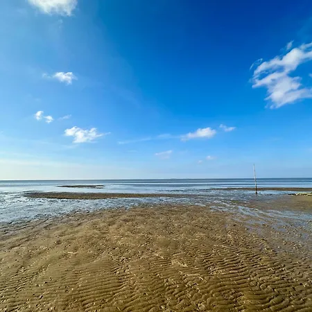 Frische Brise 15 03 *