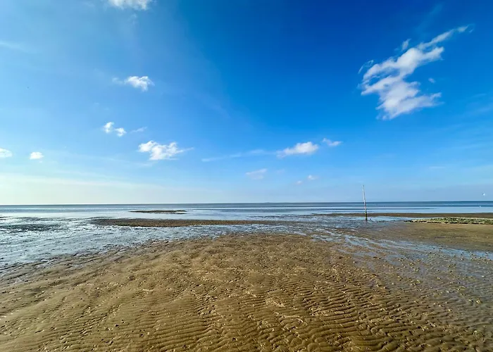 Frische Brise 15 03 *